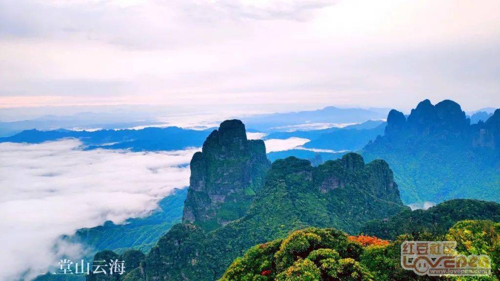 【网眼看来宾】美丽金秀,看圣堂山日出,云海,赏银杉公园银杉王