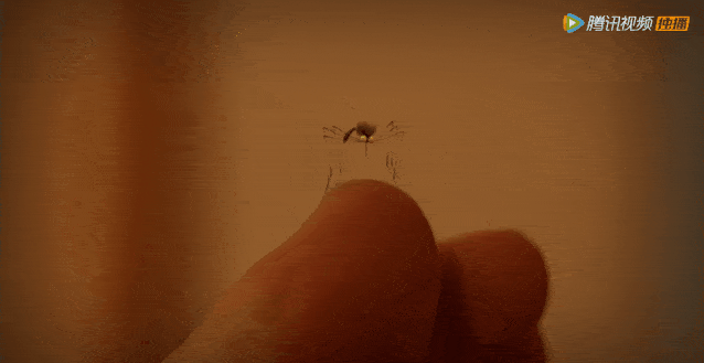 《昆虫总动员》由两位法国艺术家共同创作,堪称 欧洲最受欢迎的动画之