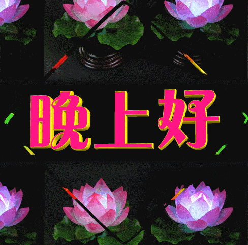 晚安这两个简单的字,我想一天不落的跟你说一辈子,晚上好