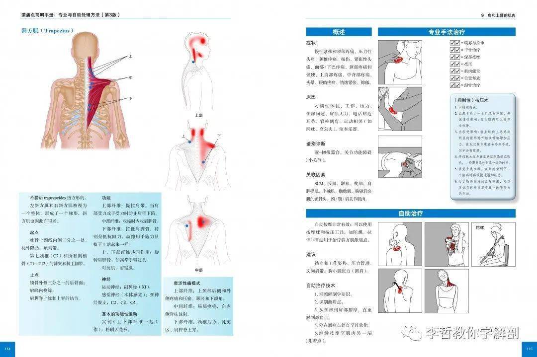 好书推荐 | 头痛,颈痛,腰背痛《激痛点简明手册》专业