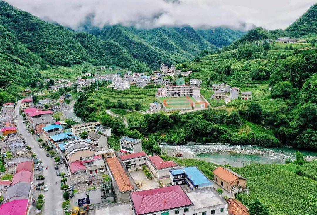 平利县正阳镇药乡飘药香