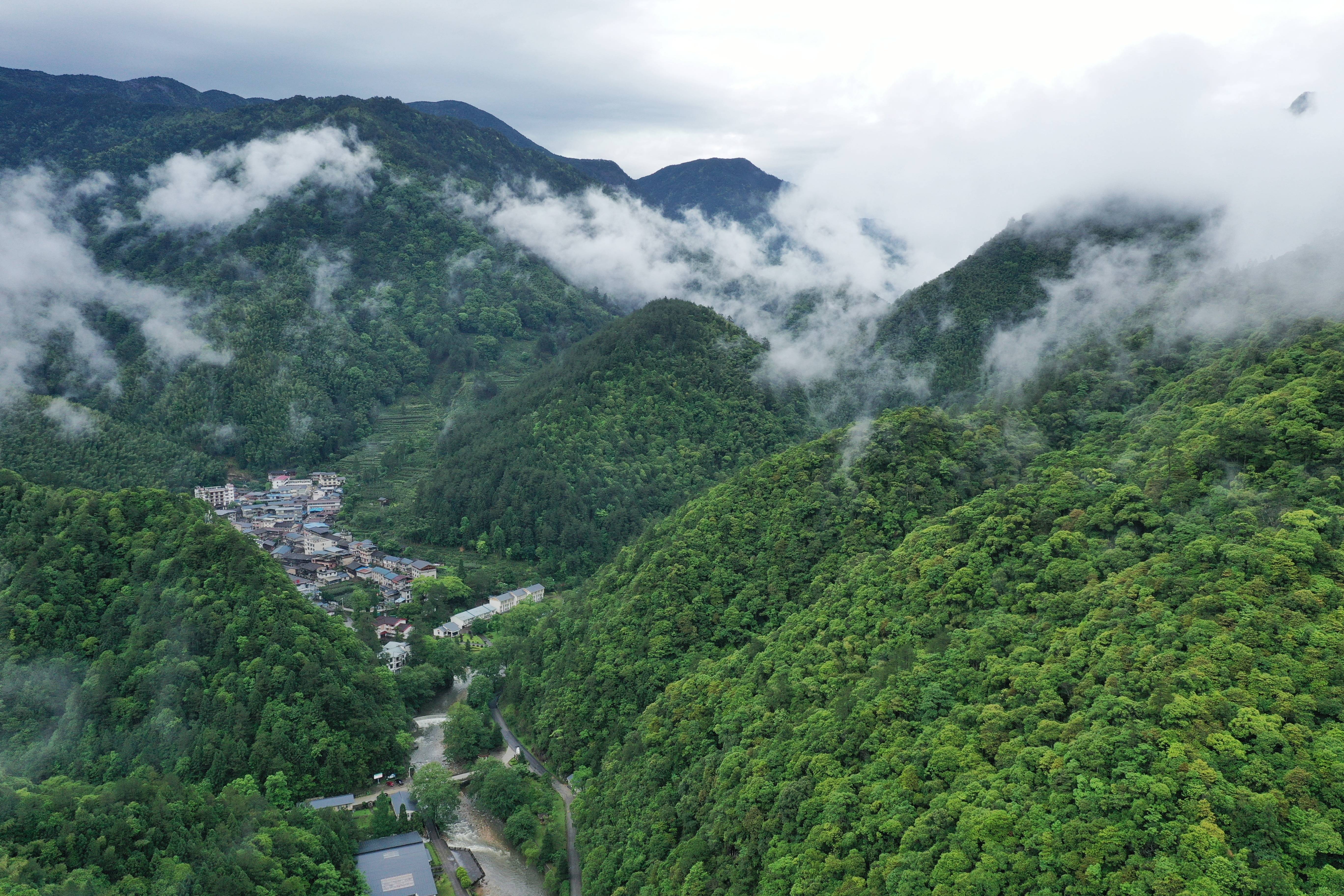 这是5月16日拍摄的武夷山国家公园桐木村附近风光(无人机照片).