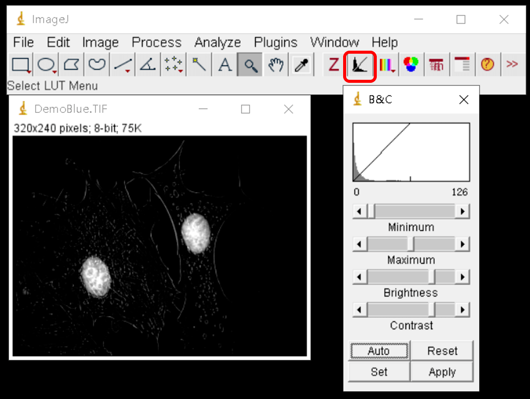 老司机带你使用imagej高效分析图片