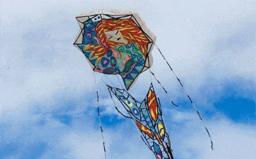 500_310gif 动态图 动图