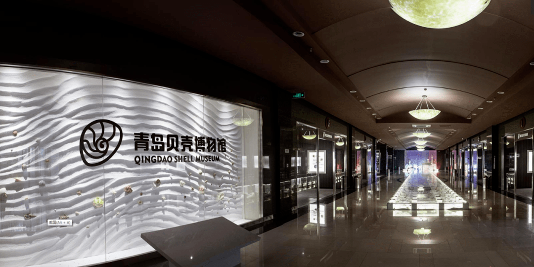 青岛贝壳博物馆坐落于青岛西海岸新区国际旅游度假区唐岛湾畔,是一座