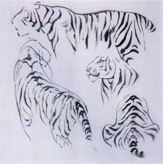 图文教程——一学就会画老虎