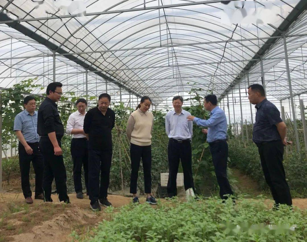 5月13日,农业农村部种植业管理司肥料与节水处处长徐晶莹,全国农业