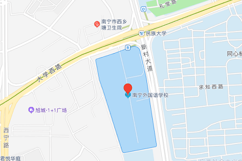 40.南宁市龙堤路初级中学地址:南宁市良庆区龙堤路49号41.