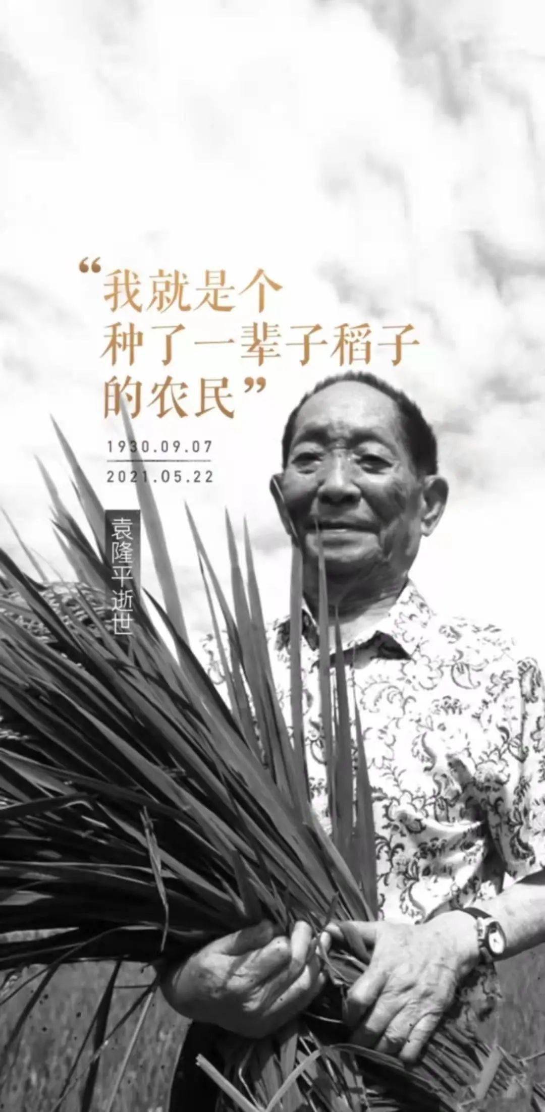 悼念袁隆平爷爷|一日三餐,永远怀念