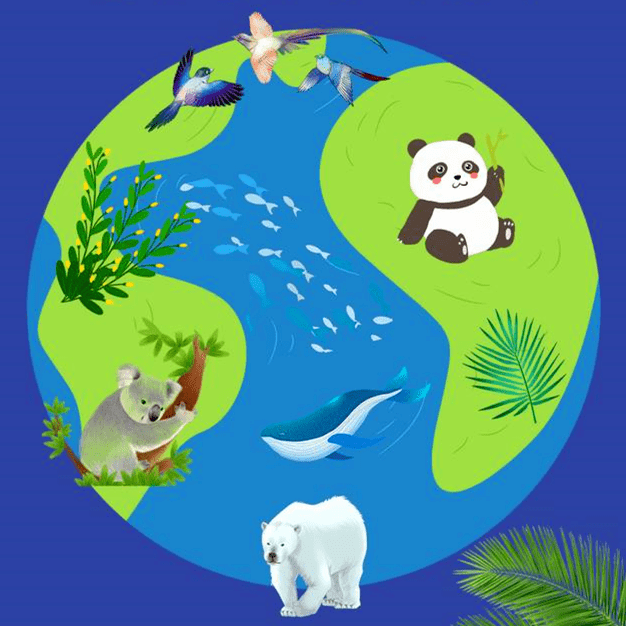 国际生物多样性日 | 呵护自然 人人有责