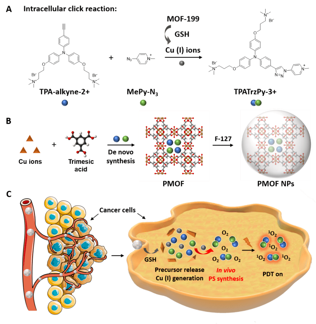 剂的新策略,将铜基金属有机框架hkust-1/mof-199作为载体和催化剂源