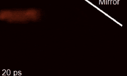 8.香蕉球.(流体流速与压强的关系)9.利用惯性.10.宇宙很奇妙.