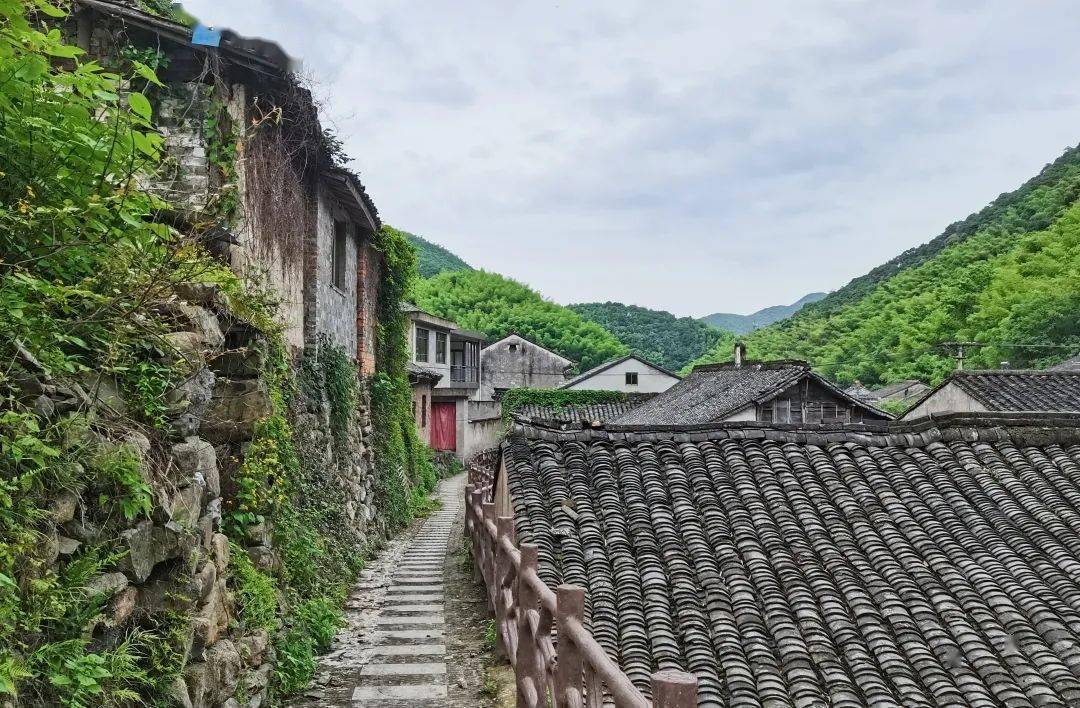 雁村,是塘溪镇边缘的高山村,位于 鄞州区塘溪镇童夏家村,享有宁波 "