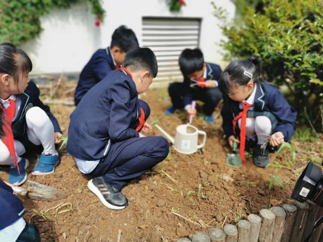 再获国字号荣誉椒江获评全国中小学劳动教育实验区