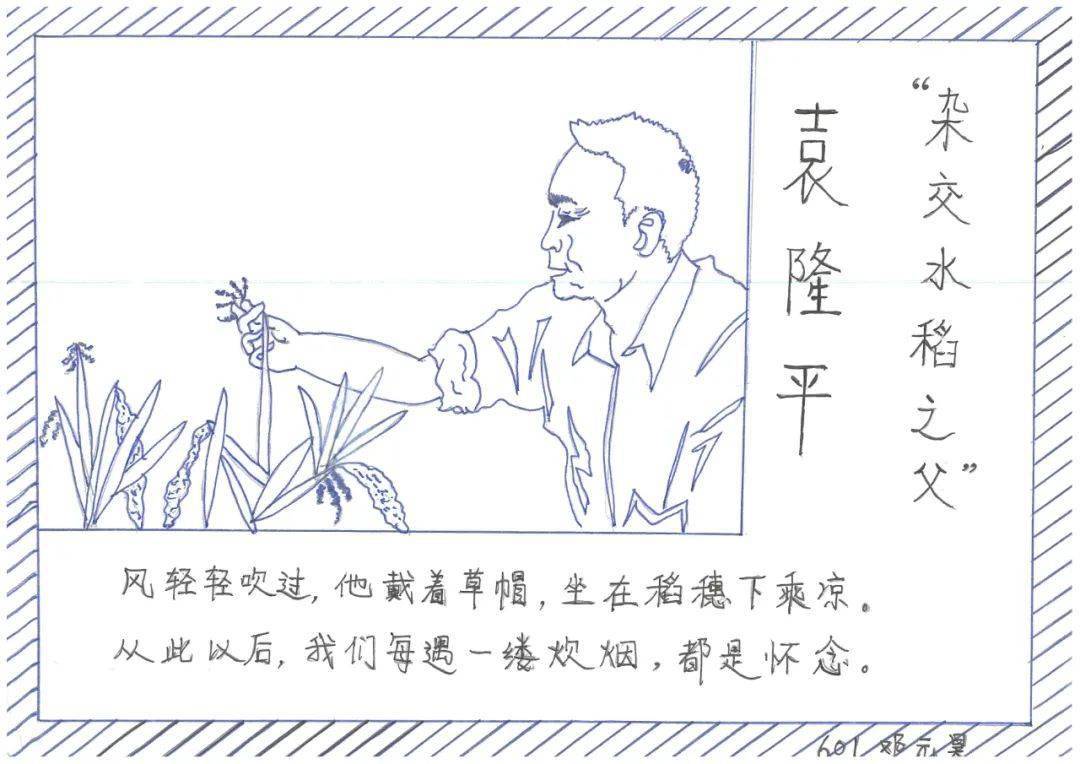 让我们用光盘行动缅怀袁隆平爷爷!