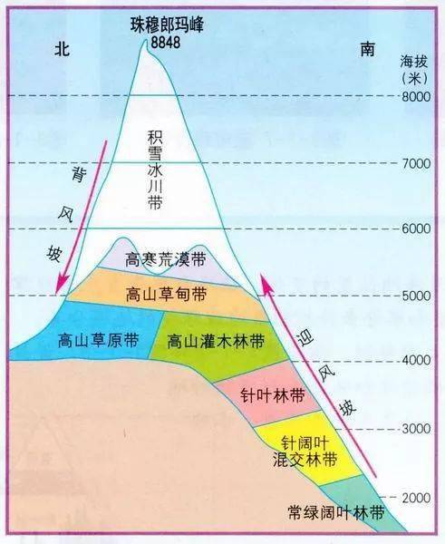 四,世界主要山地的垂直地带性 山脉的南坡植被带更加丰富 1,南坡为