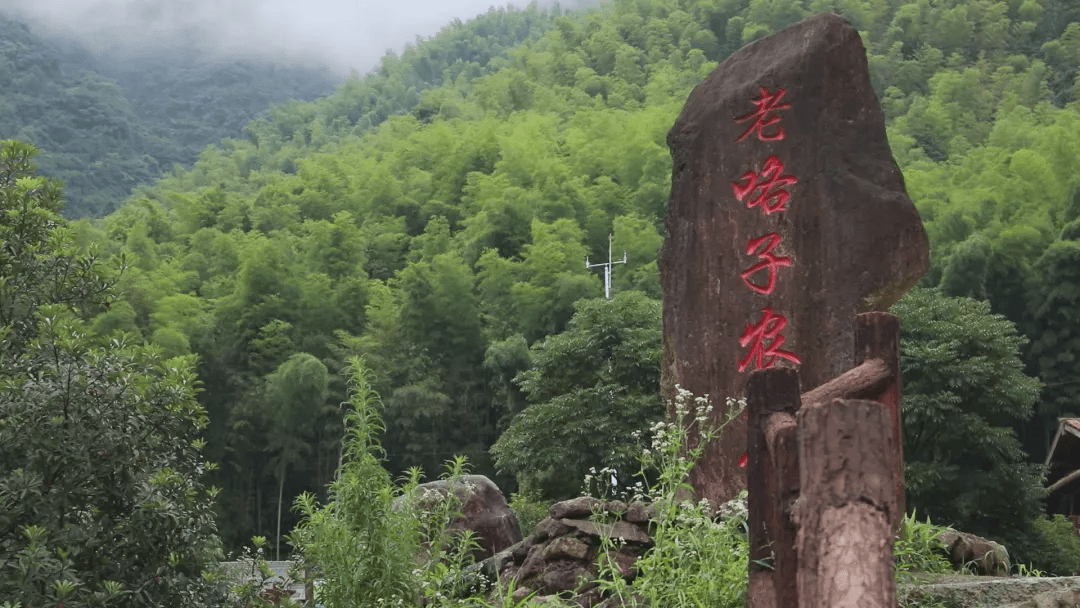 线路: 常山县梅树底景区→梅树底农家乐→金源古村落 no.2