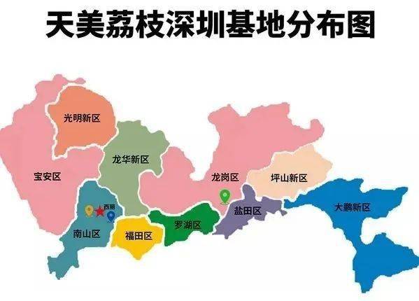 2021年去哪儿摘荔枝?深圳摘荔枝地图来啦!一起去摘荔枝吧