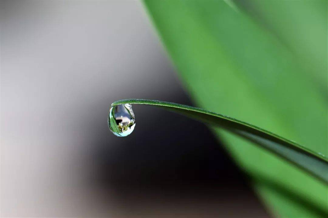 比起锋芒毕露,韬光养晦更显涵养.