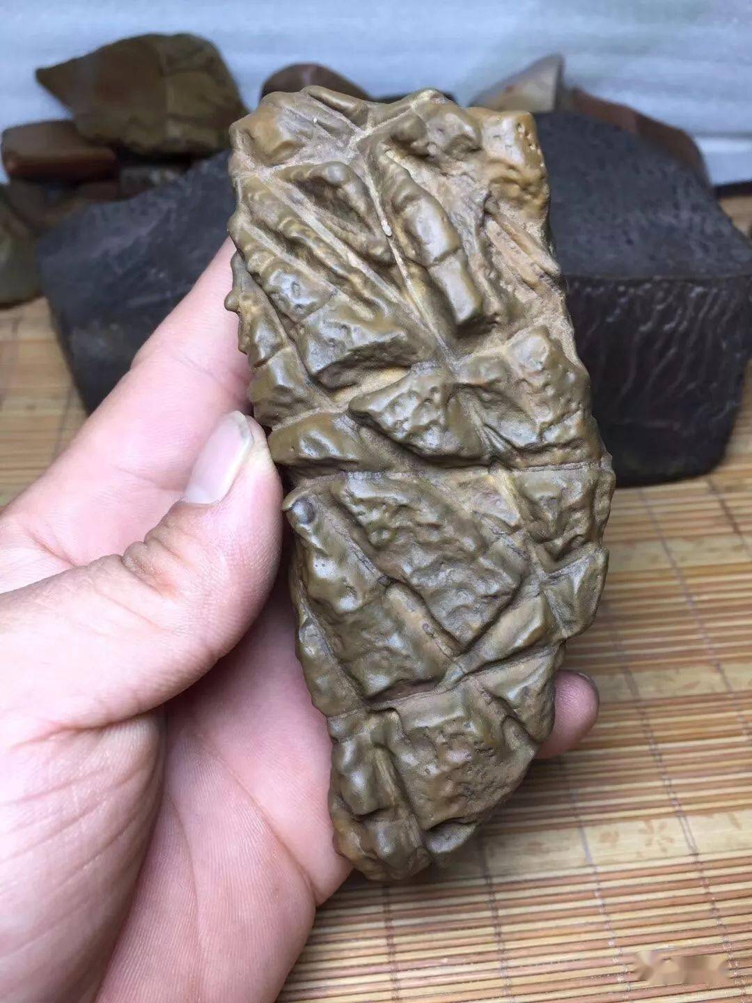 轻轻触摸大漠泥石