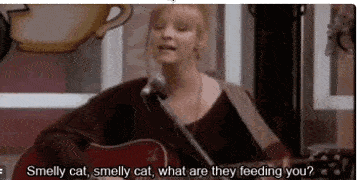 《老友记》17年重聚_ross