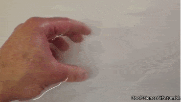 科学动图叹为观止科普动图让你瞬间爱上它