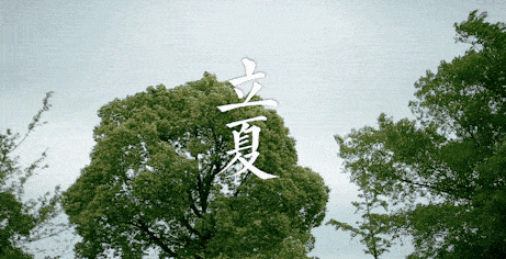 夏至未至,记住这小小的欢喜_节气