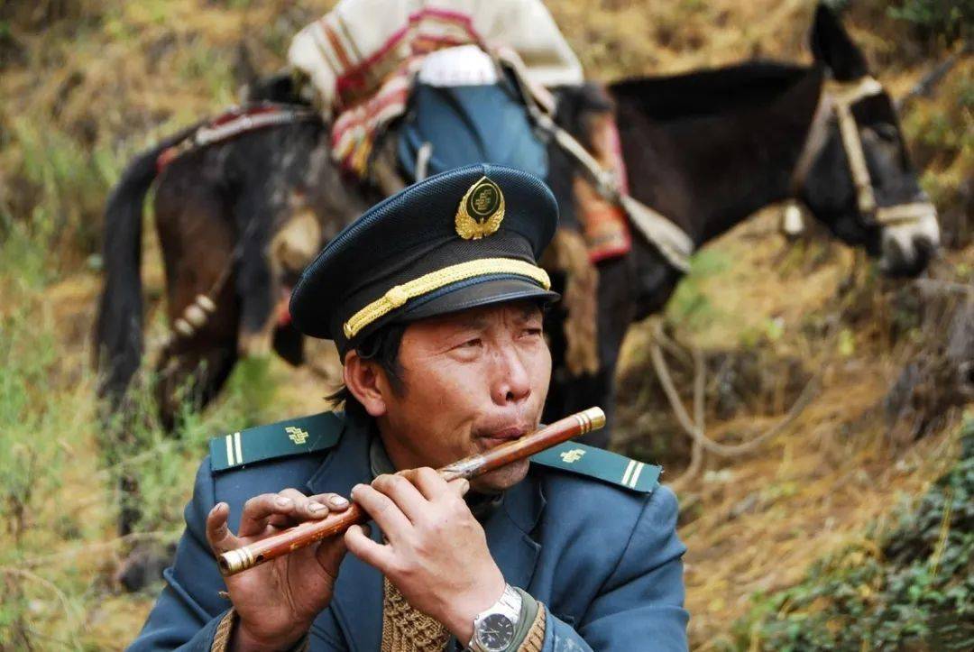 《香巴拉信使》影评:这国产片都没人看,我还写什么影评