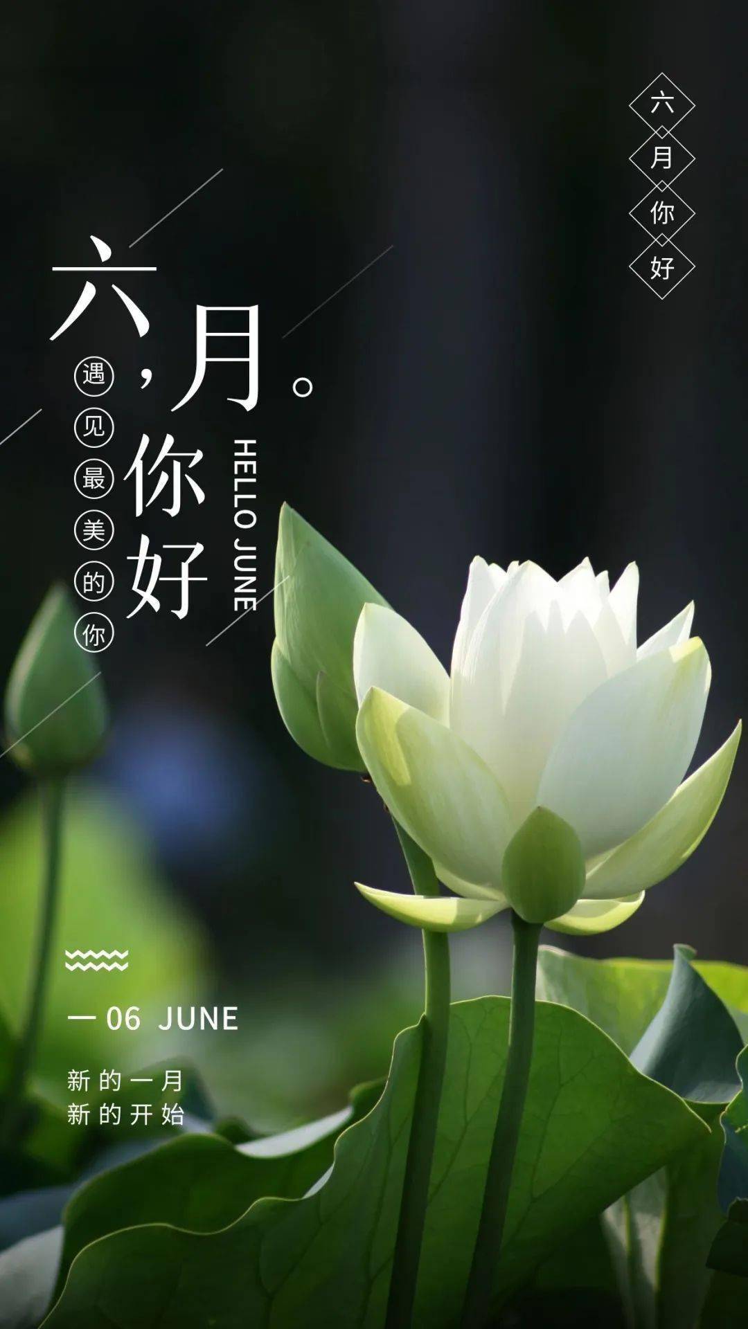 6月愿你一切安好.愿你懂得世故而不世俗,懂生存而不顺流而下.