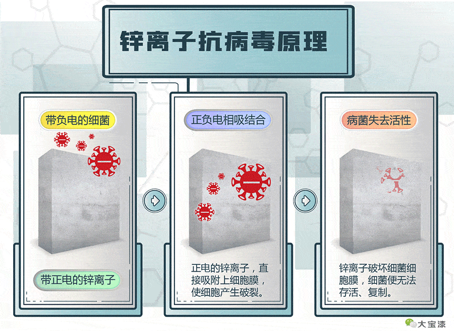 【资讯】大宝漆研发出抗病毒全效墙面漆,可强效灭杀16