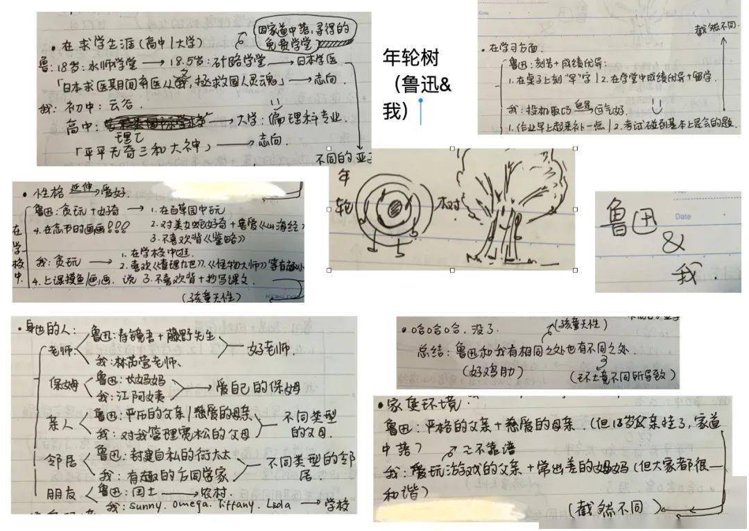如果让你给鲁迅开借书单你会开什么米老鼠杭州这所学校的语文课给我来