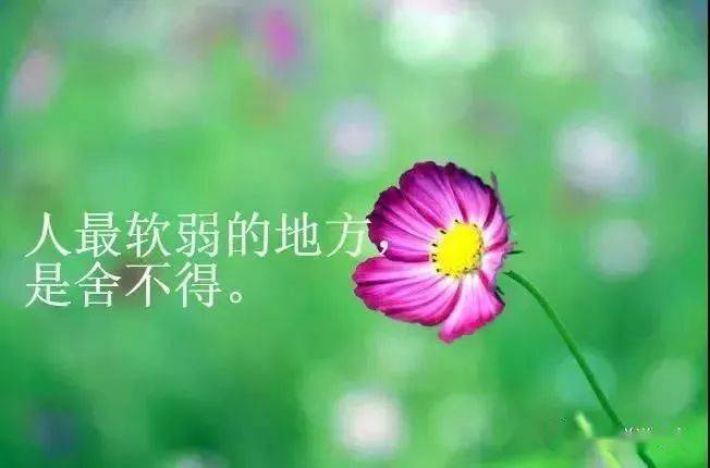 一个人难过的说说 你不懂,我的难过_生活