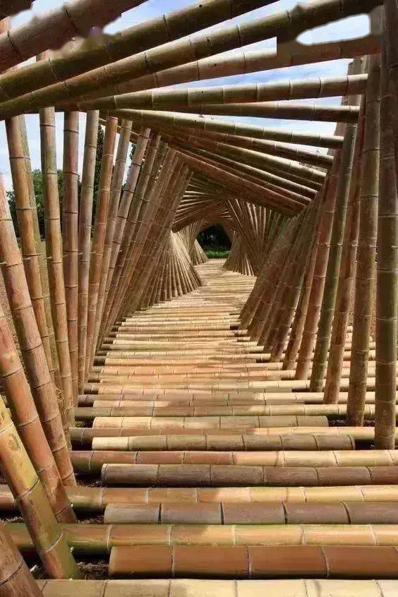 走在竹子建造的走廊▼这工程看上去十分浩大