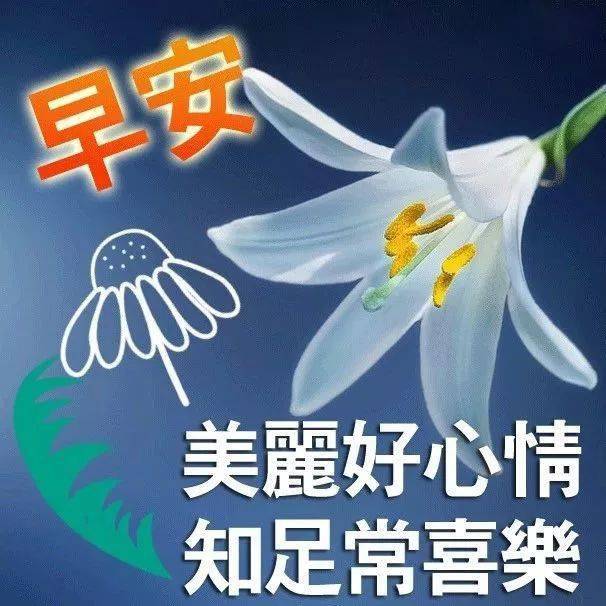 2021牛年很好看早安祝福图片带字 每天问候朋友的早上