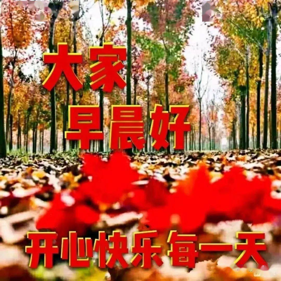 2021早上好漂亮鲜花美女图片带祝福语 暖心温馨早安问候祝福图片鲜花