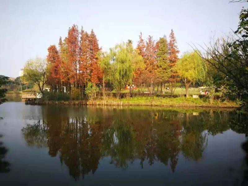 罗泾公园