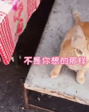 300_377 竖版 竖屏