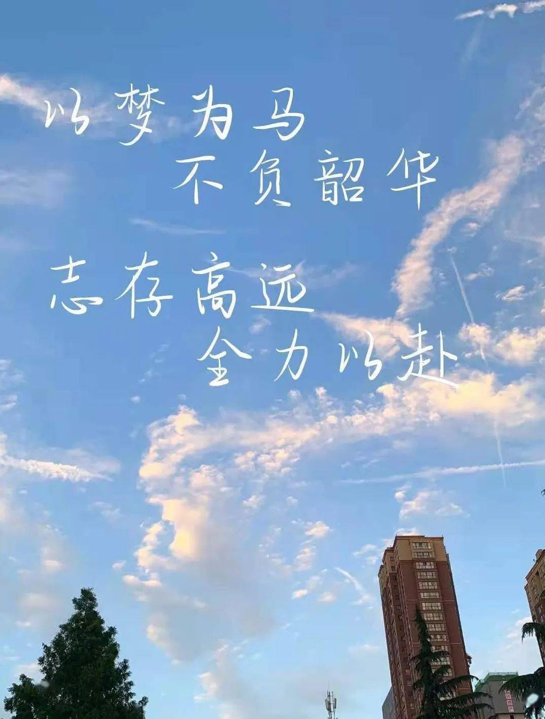 正蒙二院 | 一起去啊 更远的地方