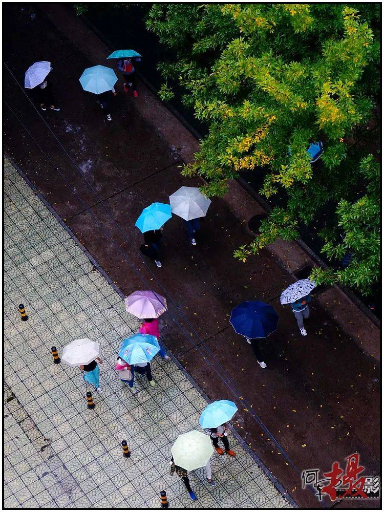 雨天,挡雨的雨伞, 好似一道移动的风景