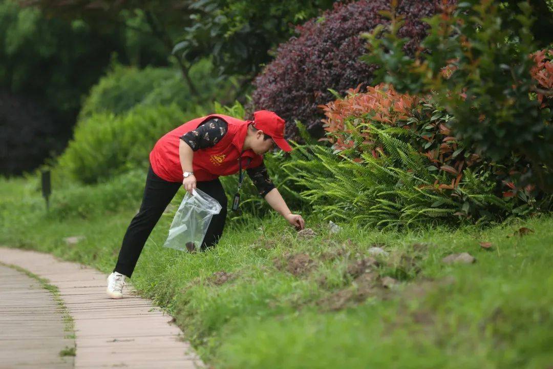 最美践行者|爱岗敬业的基层环保卫士——樊崇兰