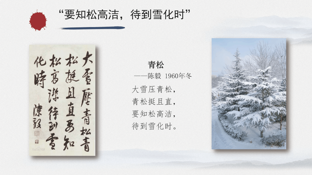 百年党史青年说雪化青松见高洁