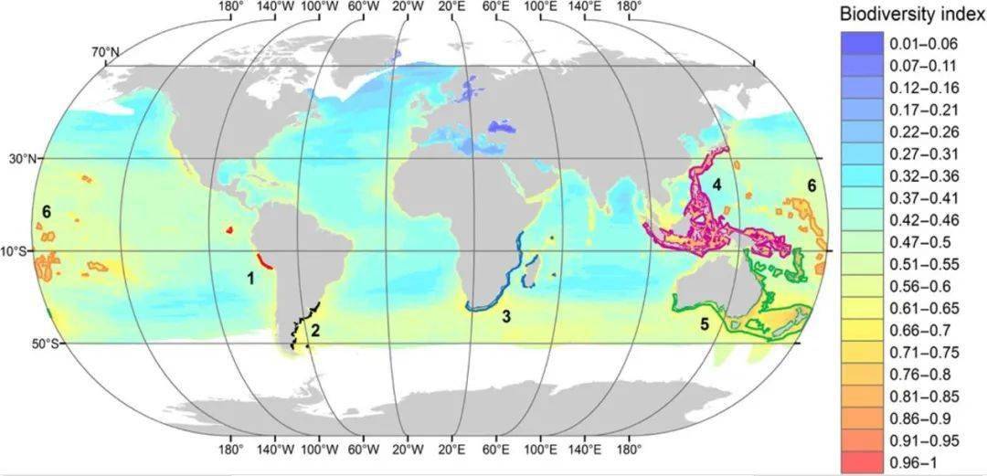 全球海洋生物多样性的分布(修改自ramírez et al, 2017)