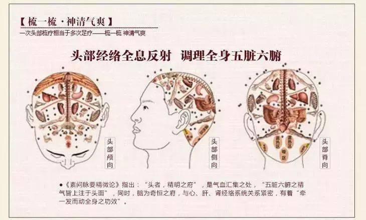 神经,梳头时不仅能刺激神经末梢,通过大脑皮层来调节头部神经,让头部