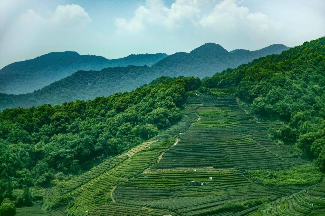 地点:龙坞茶镇·九街时间:6月12日至6月14日风靡热搜的"大唐不倒翁"也