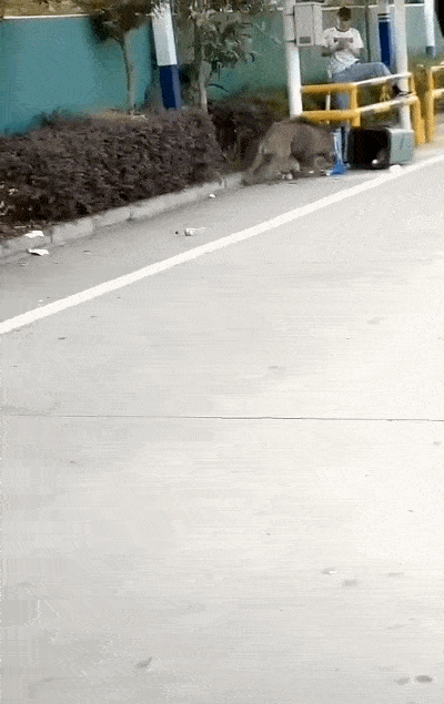 400_635竖版 竖屏gif 动态图 动图