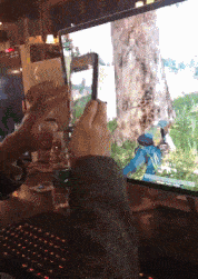 精选内涵段子 1.教练刚说了一句: