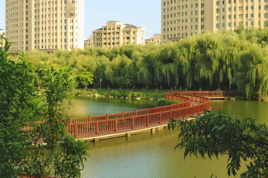 快来大外体验这份欢乐 十号教学楼旁有一条小路通向学校的明阳湖,湖上
