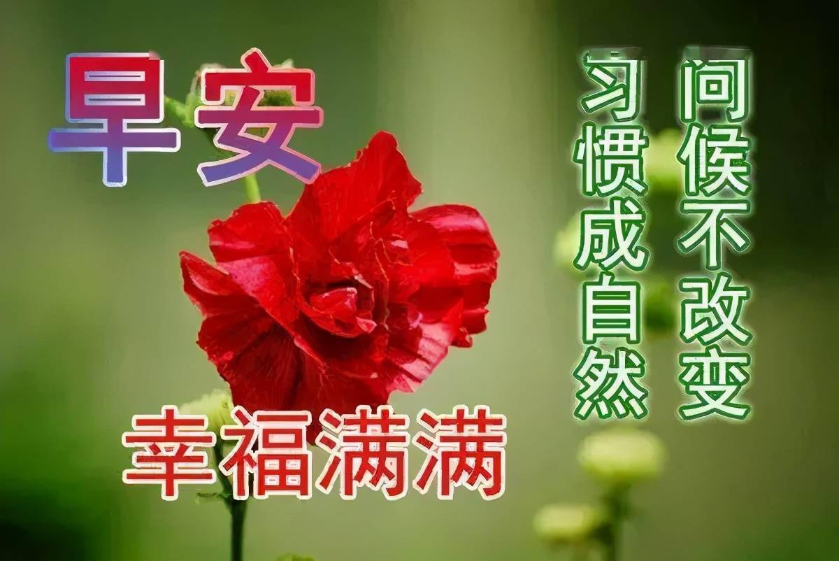 6月早上好问候祝福表情图片 周三最新早安问候语图片表情