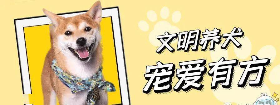 物业温馨提示请依法养犬