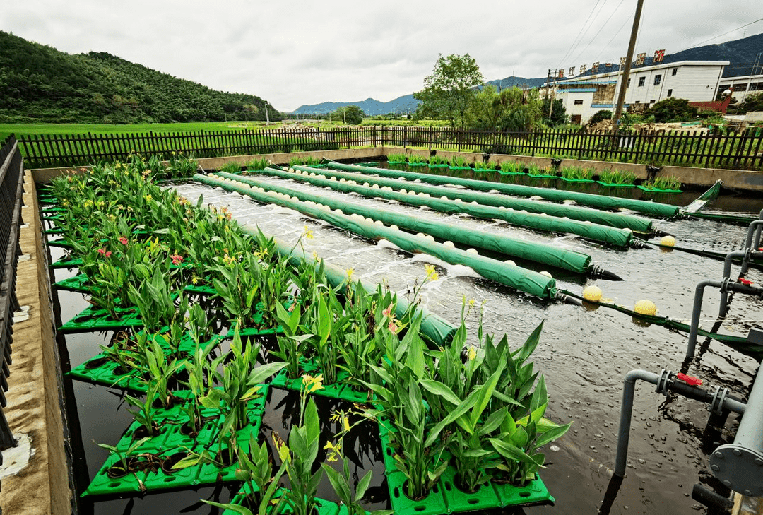 设施完好,管理有序,水质达标"为目标,切实抓好农村生活污水治理设施